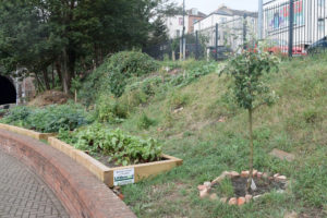 Gardening work session - Alternate Saturdays @ Community Garden at Warrior Square Station | England | United Kingdom