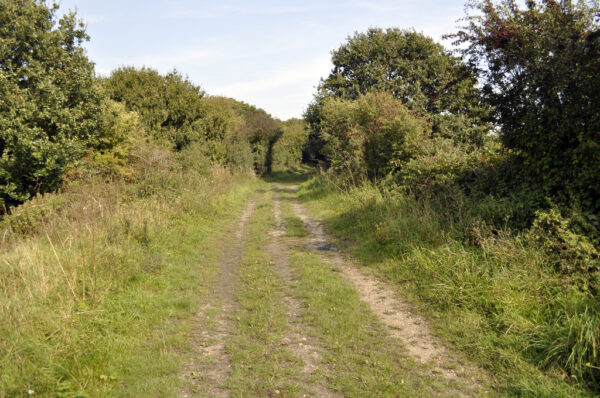 Foraging with Ben Fairlight Edwards, The Barefoot Herbalist @ Combe Haven Valley | Hastings | United Kingdom