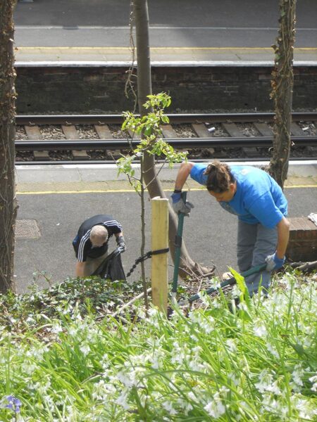 Working by the new fruit trees