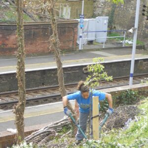 Working by the new fruit trees