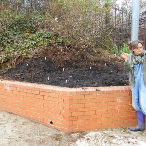 planting wild flowers