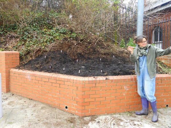 planting wild flowers