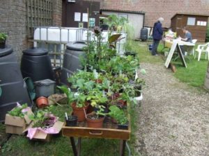 Bohemia Walled Garden