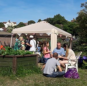 Marina-Allotments