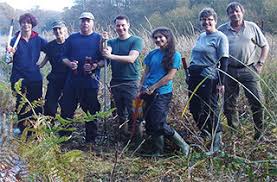 Sussex Wildlife Trust