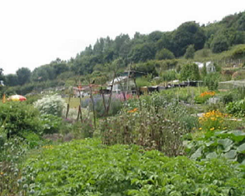 Allotments, Hastings Borough Council.