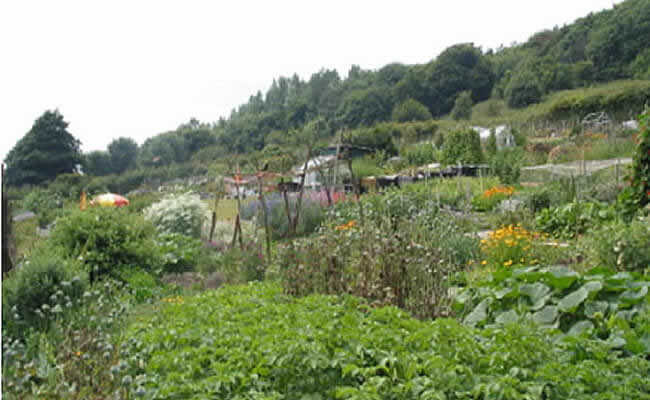 allotments