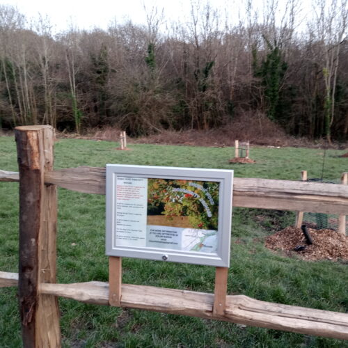 Church Wood Community Orchard